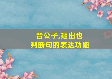 晋公子,姬出也 判断句的表达功能